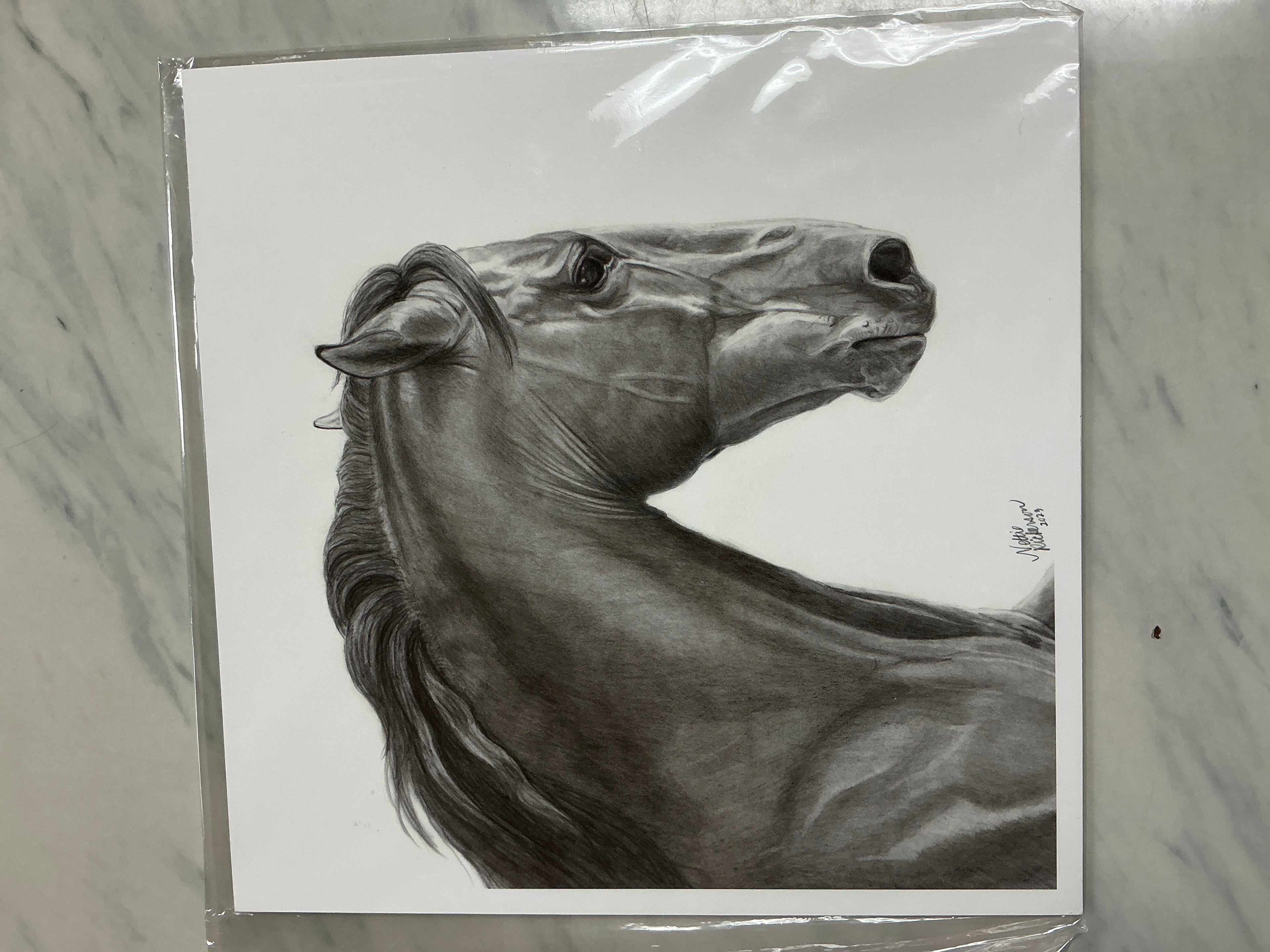 “Apollo” Giclee Print