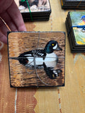 4-Pack of Coasters Ducks