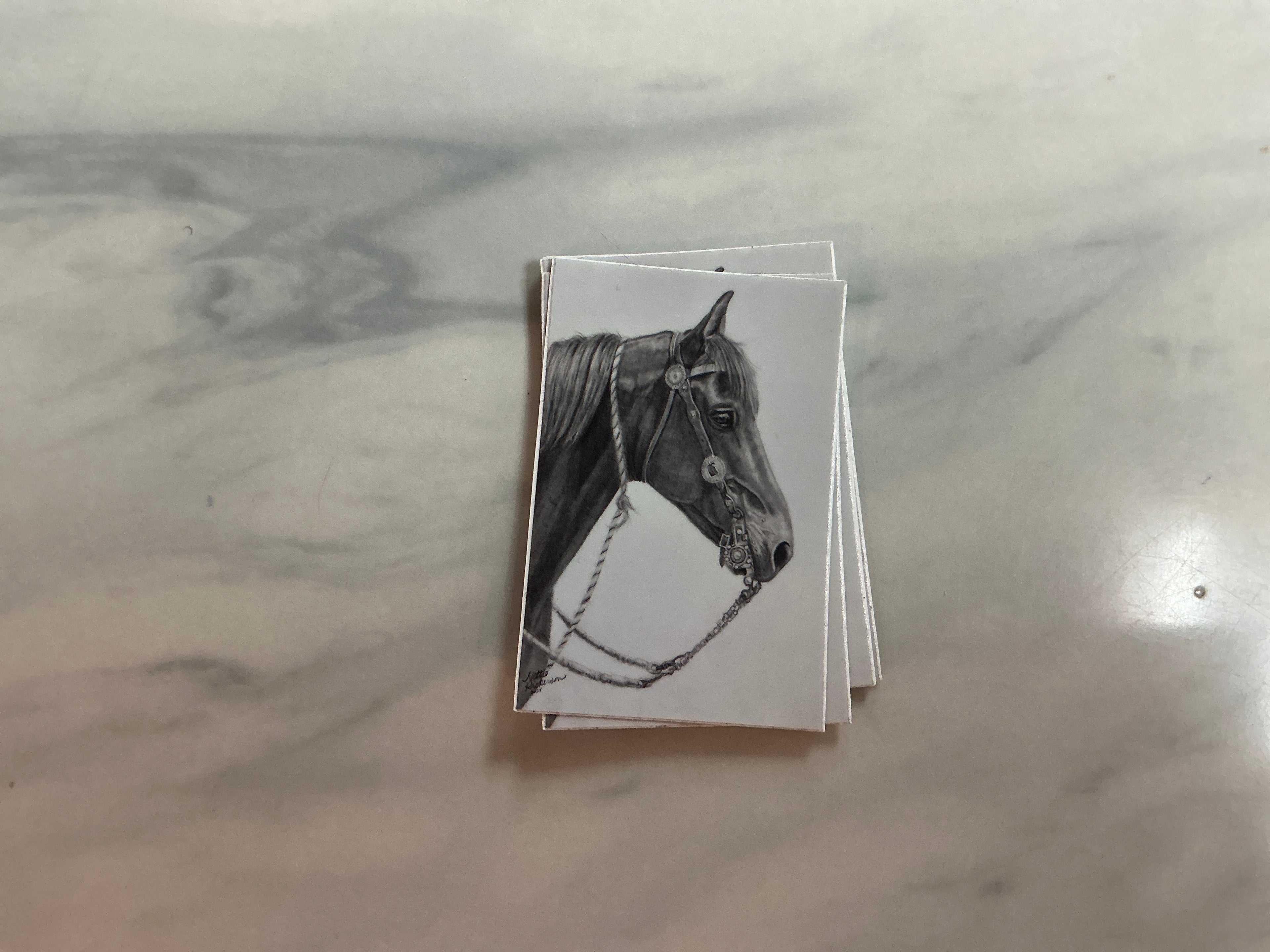 “Buckaroo Bling” Sticker