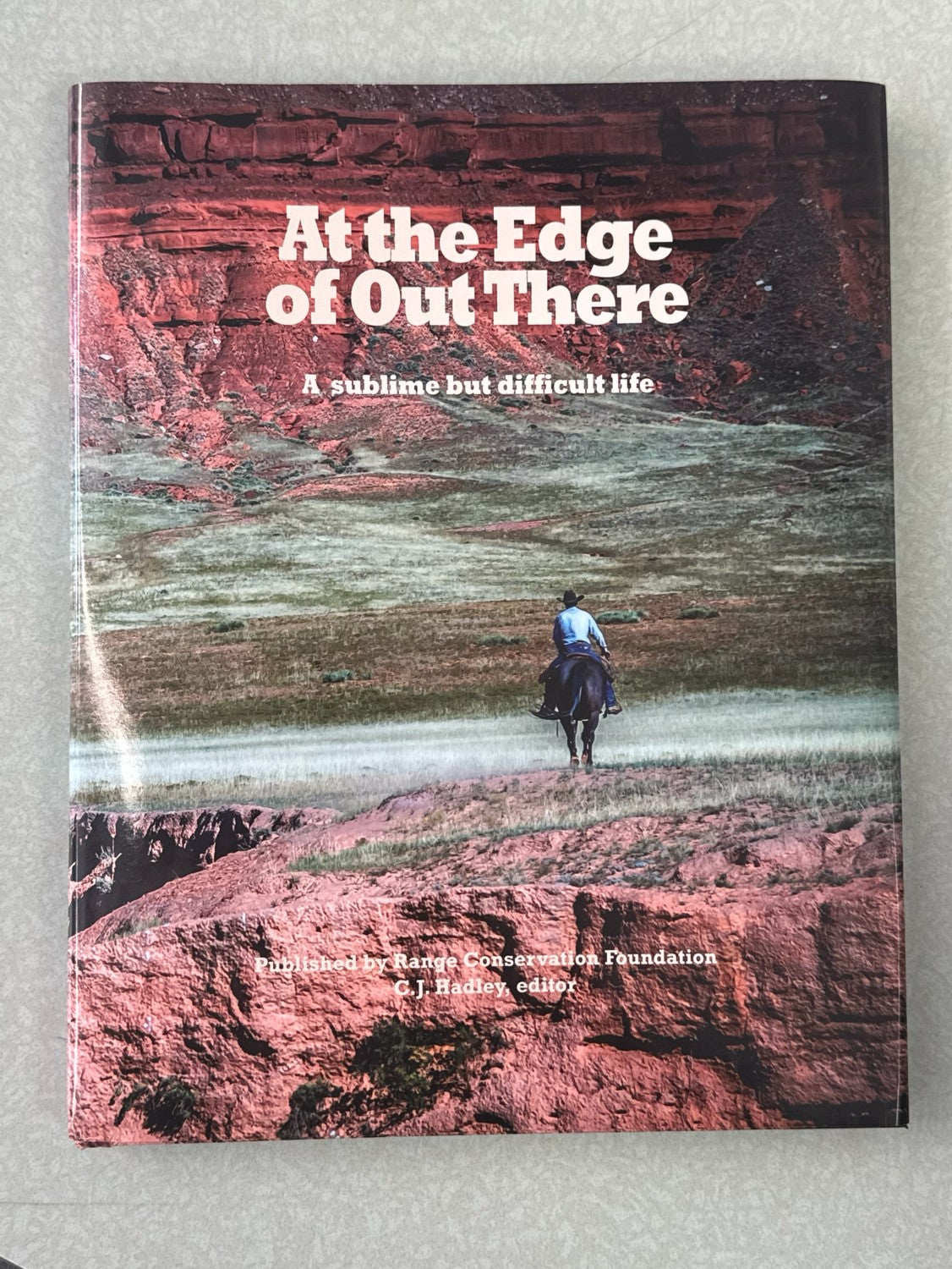 At the Edge of Out There by CJ Hadley