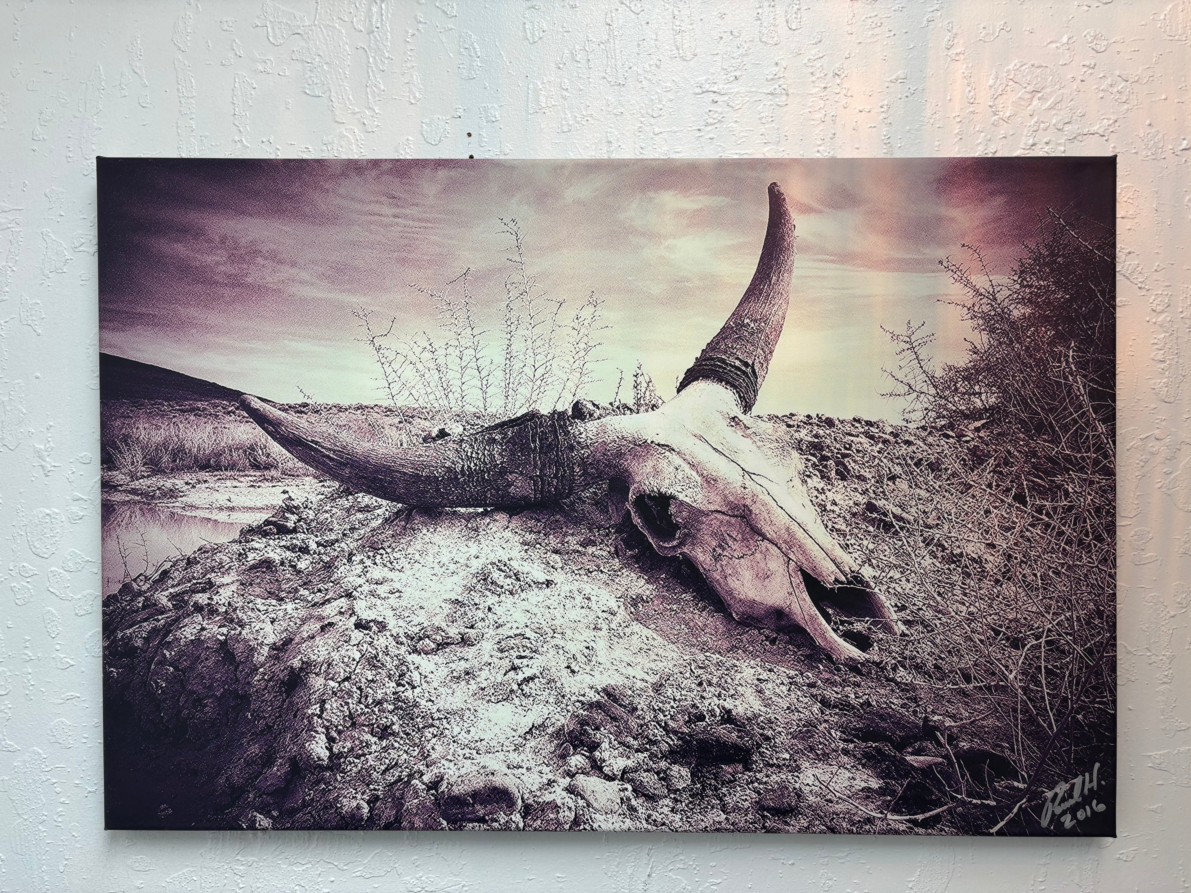 Skull Close Canvas Photo