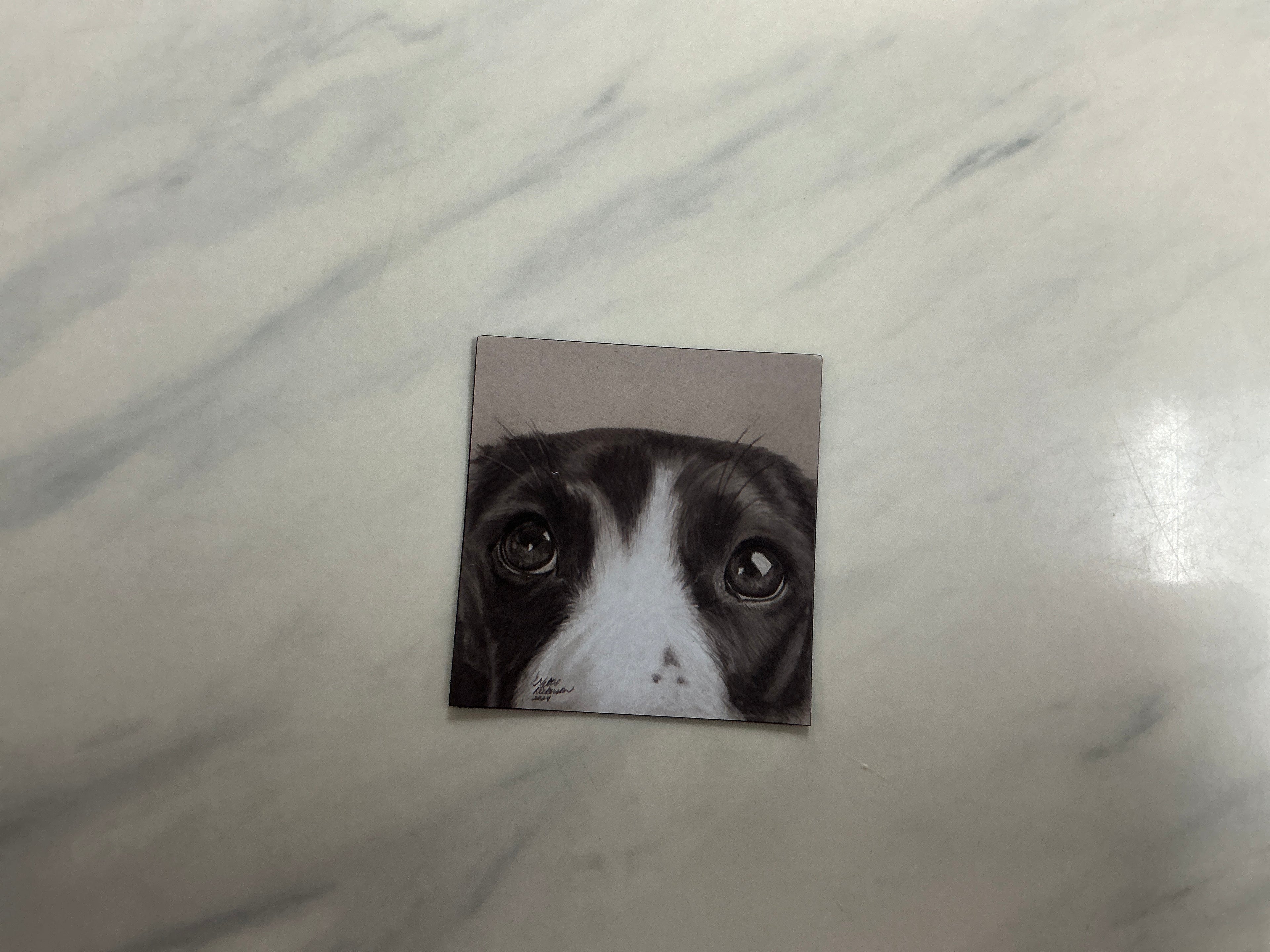 “Puppy Dod Eyes” Magnet