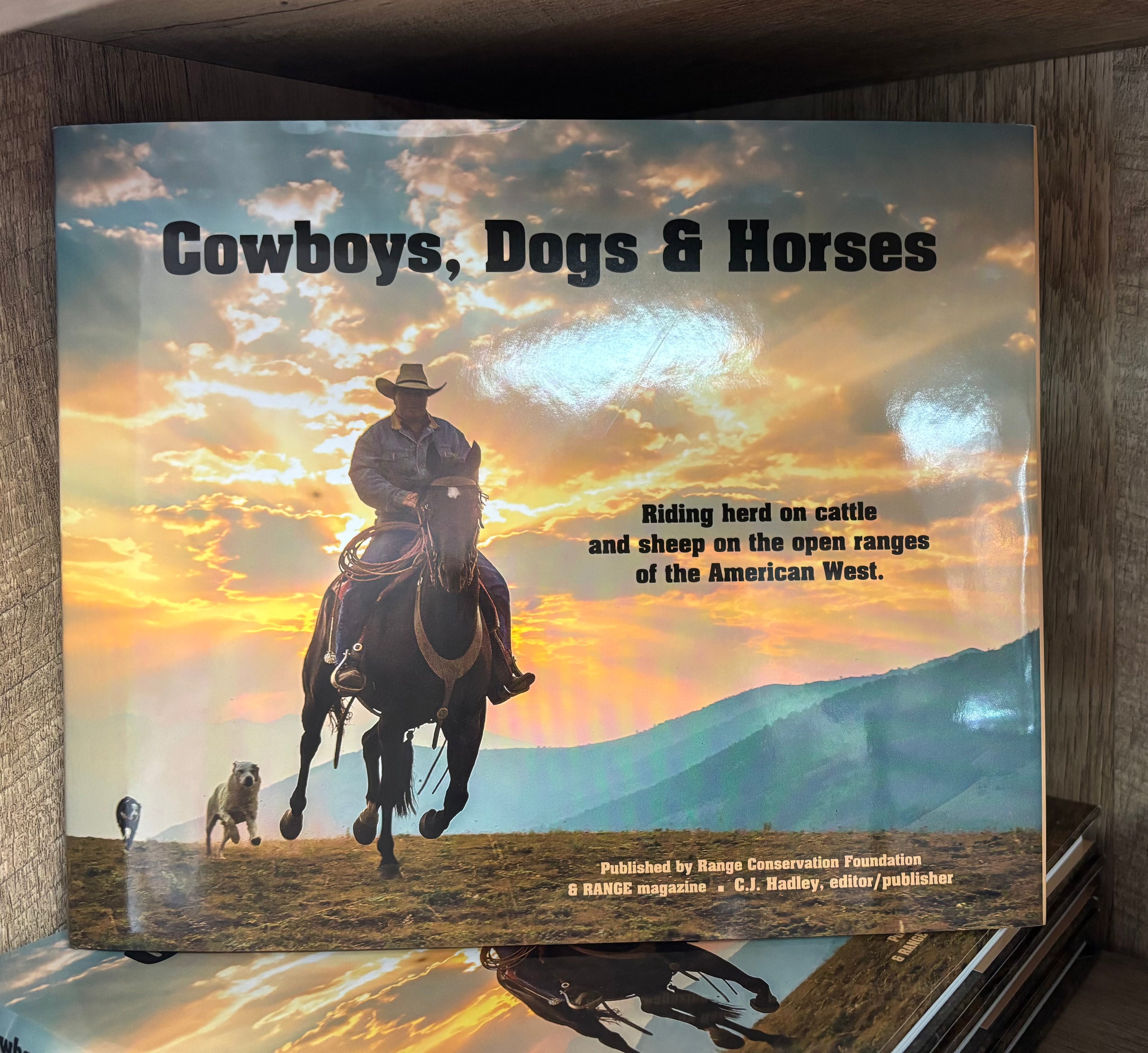 Cowboys, Dogs & Horses by CJ Hadley