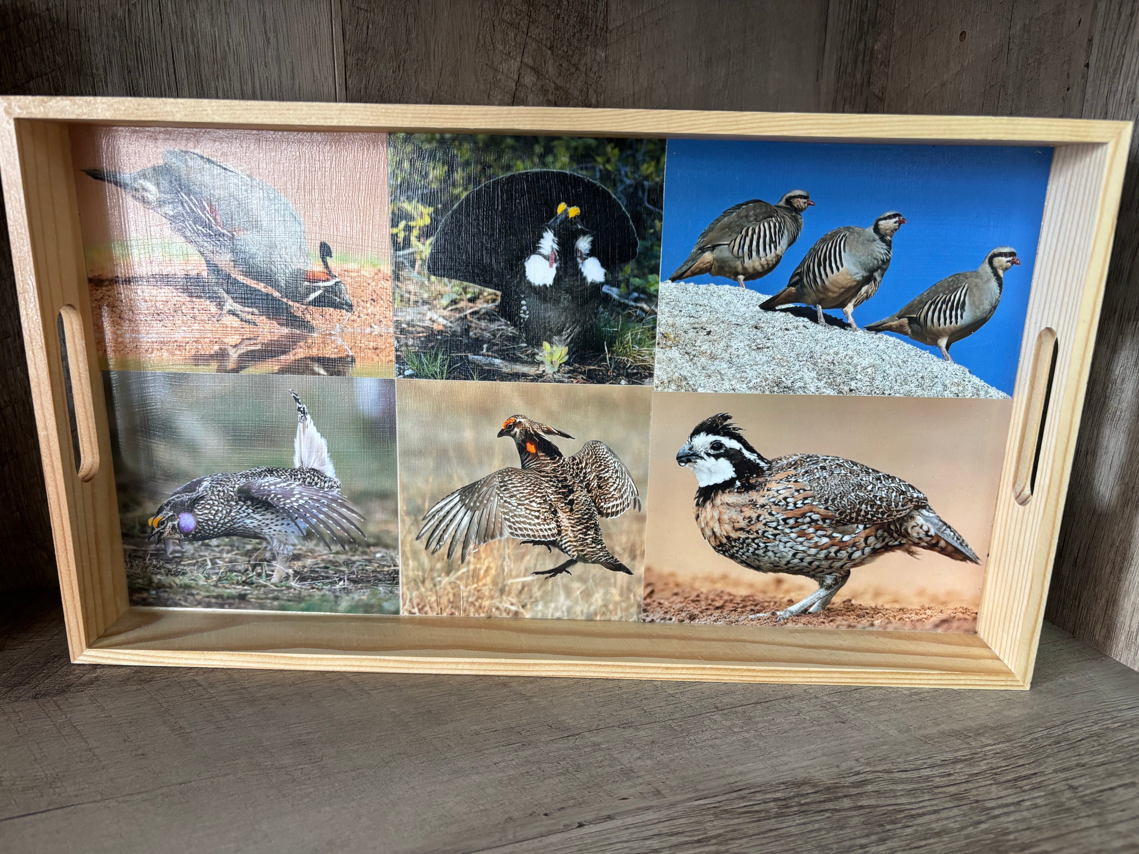 Small Bird Photo Tray