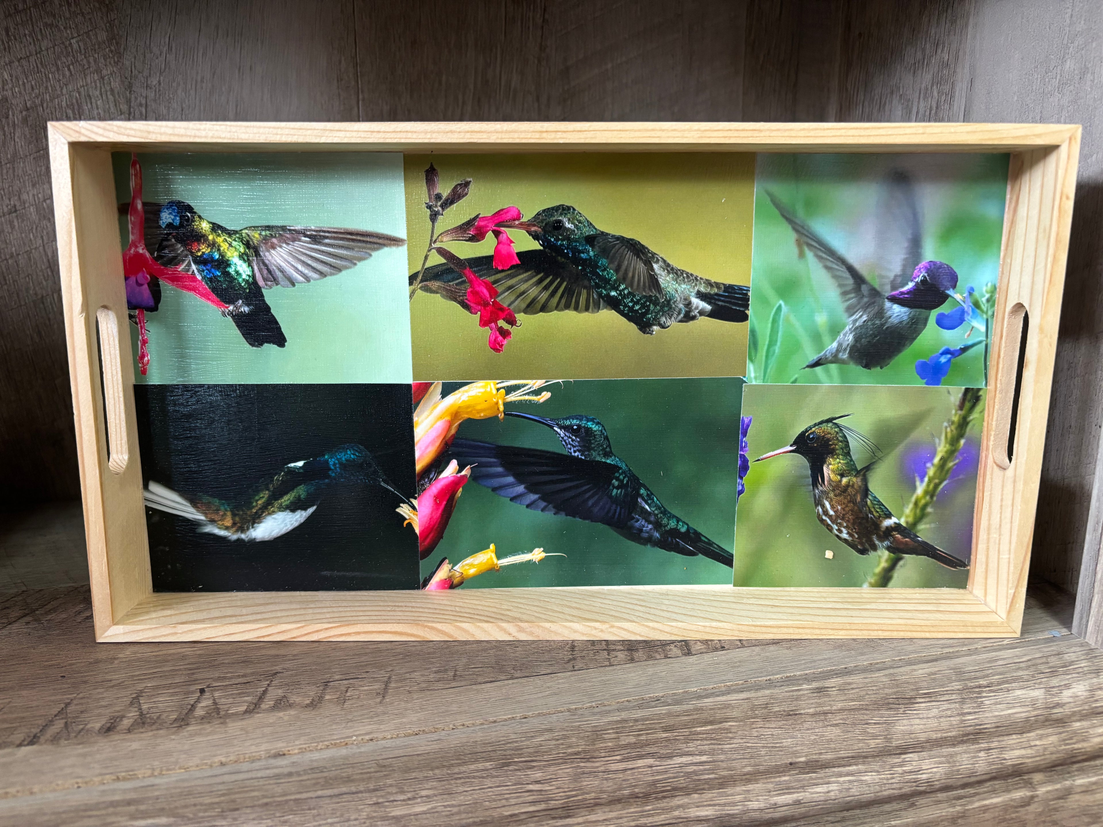 Hummingbird Photo Tray