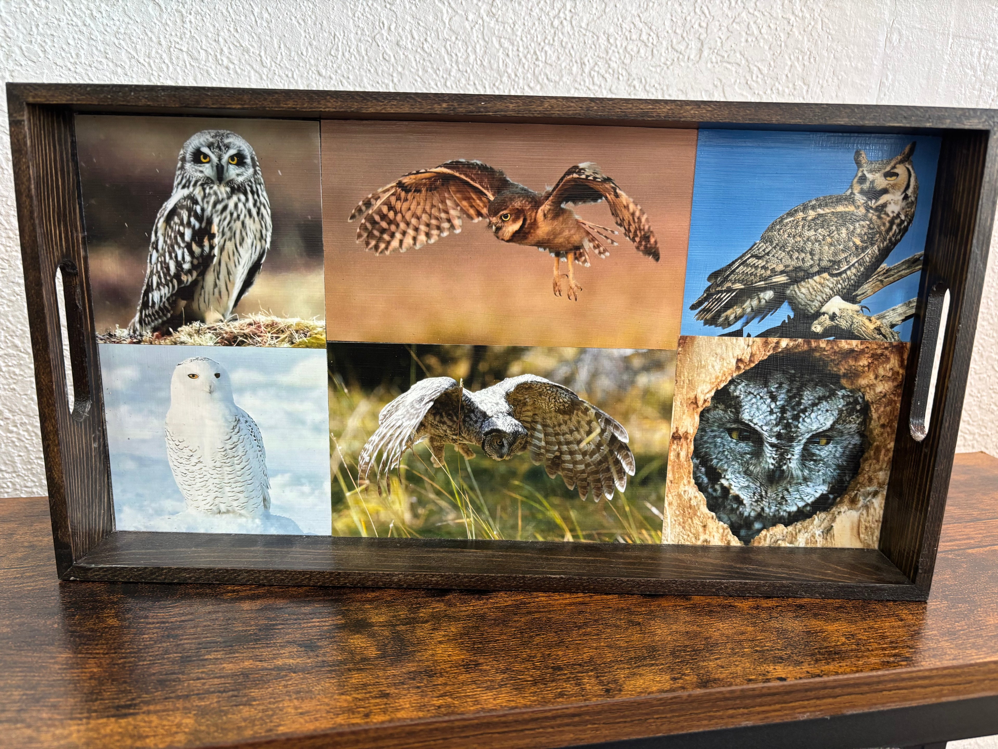 Owl Photo Tray