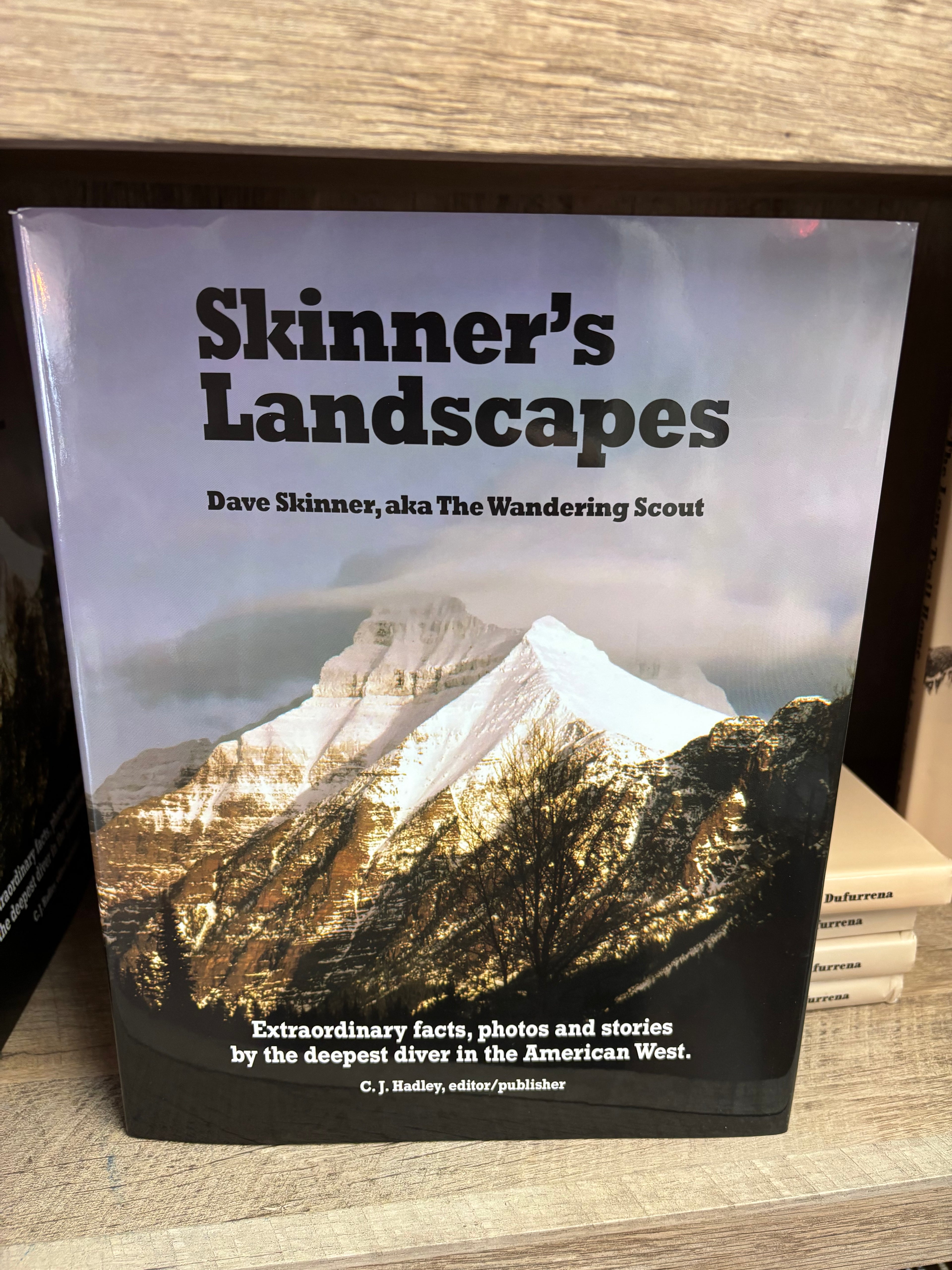 Skinner's Landscapes by CJ Hadley