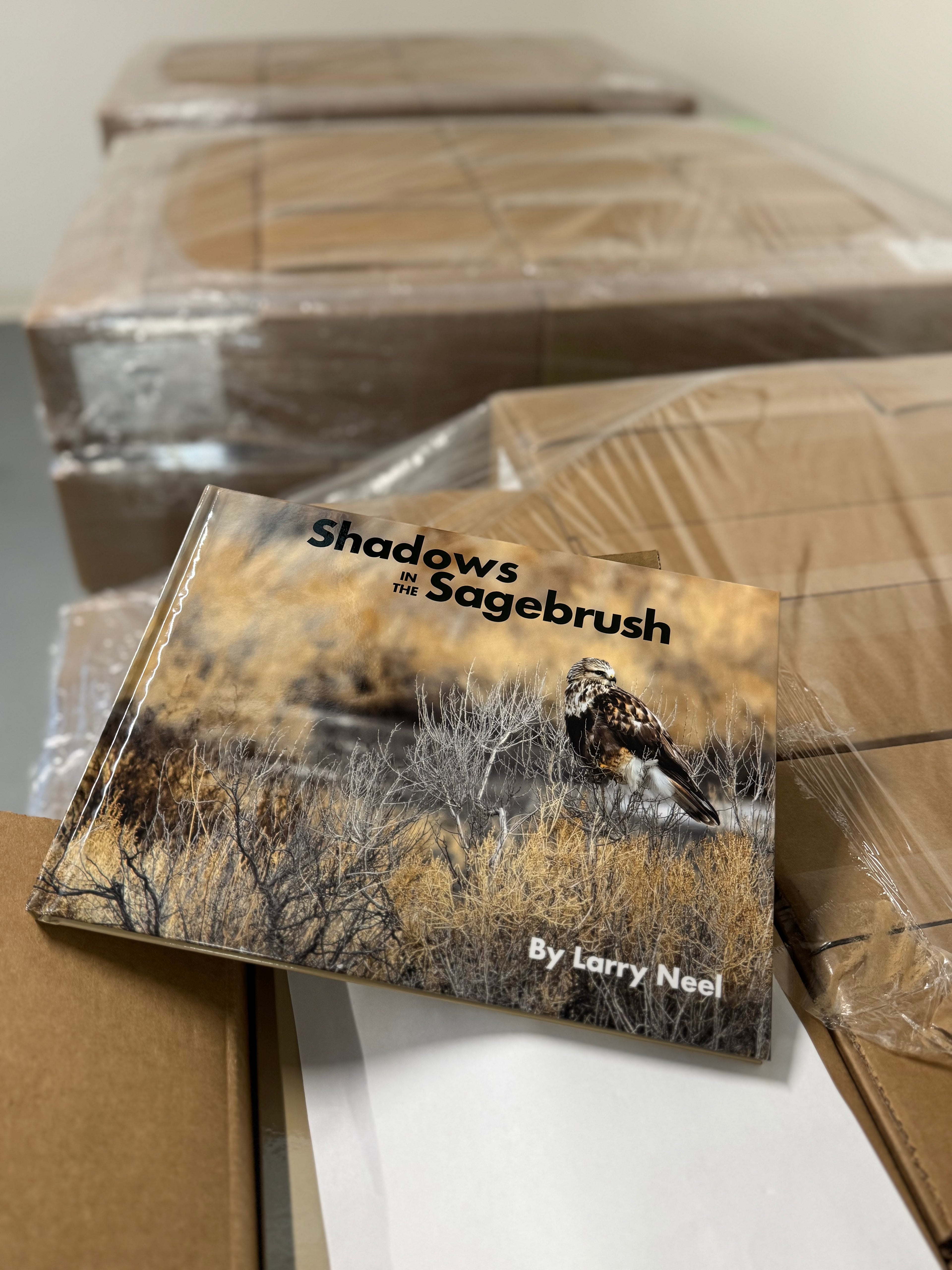 Shadows in the Sagebrush