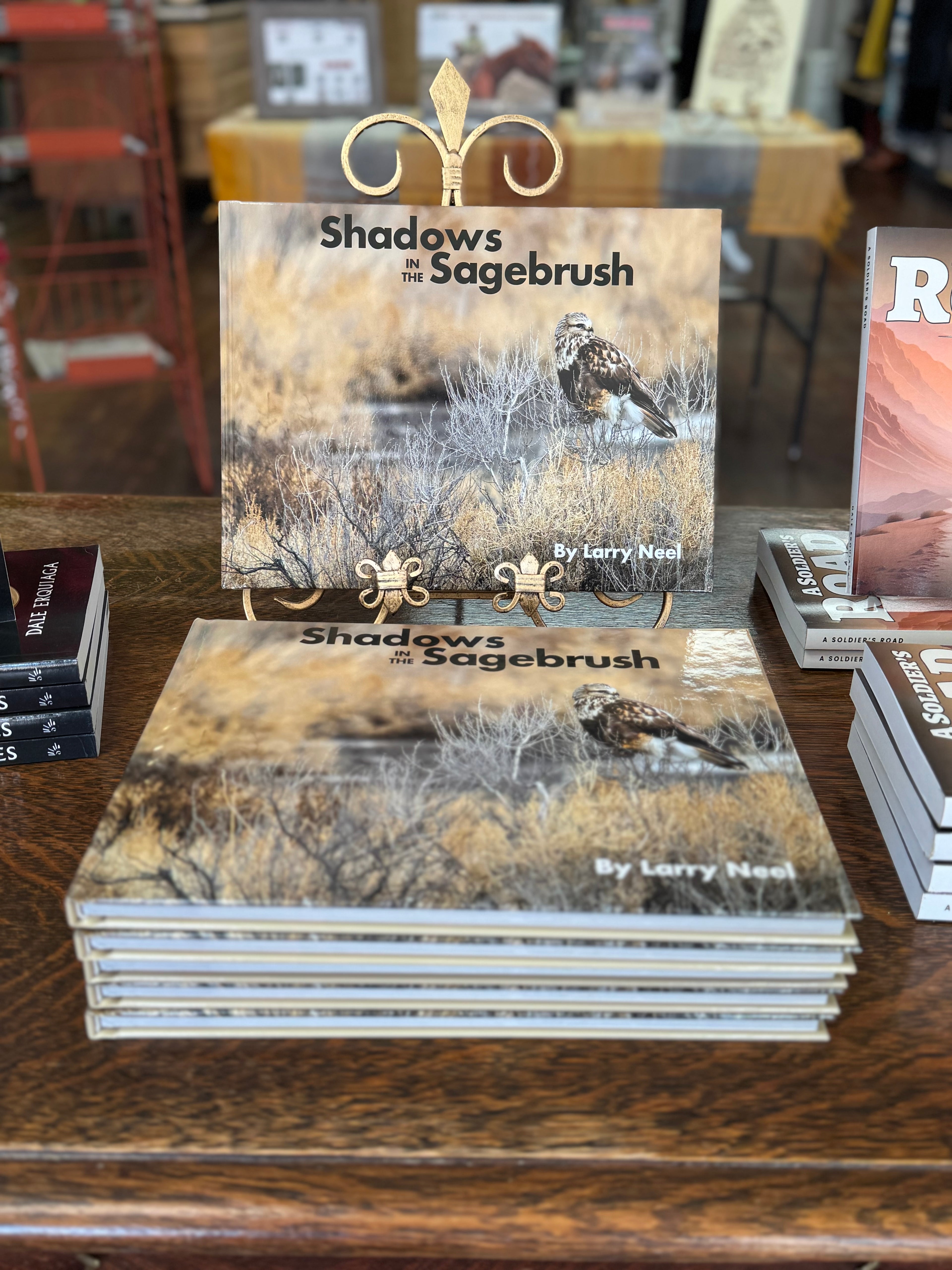 Shadows in the Sagebrush