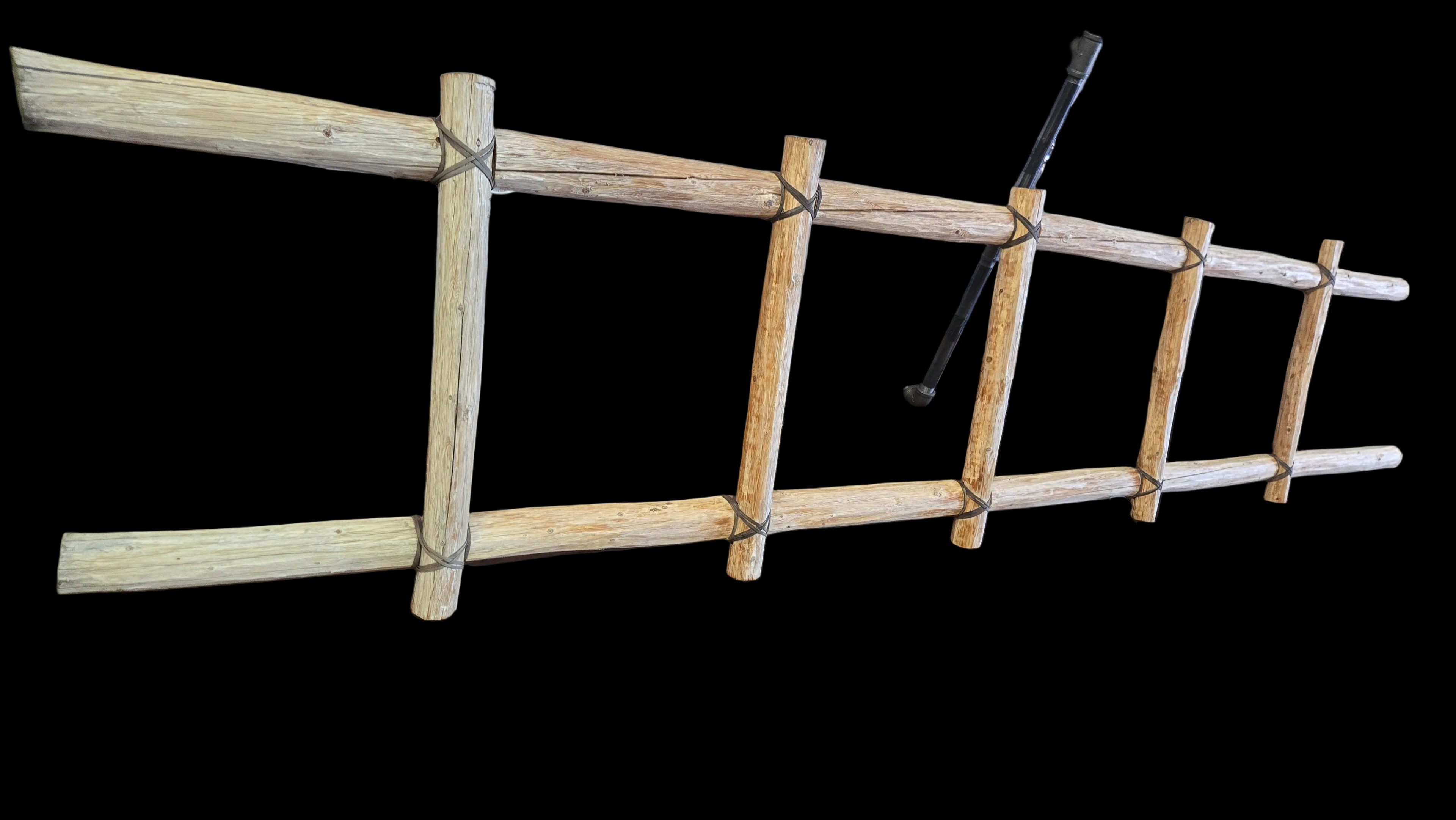 Southwest Lodgepole Ladder